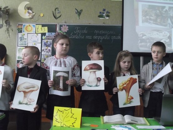 Відкриті уроки у початковій школі Відкриті уроки у початковій школі