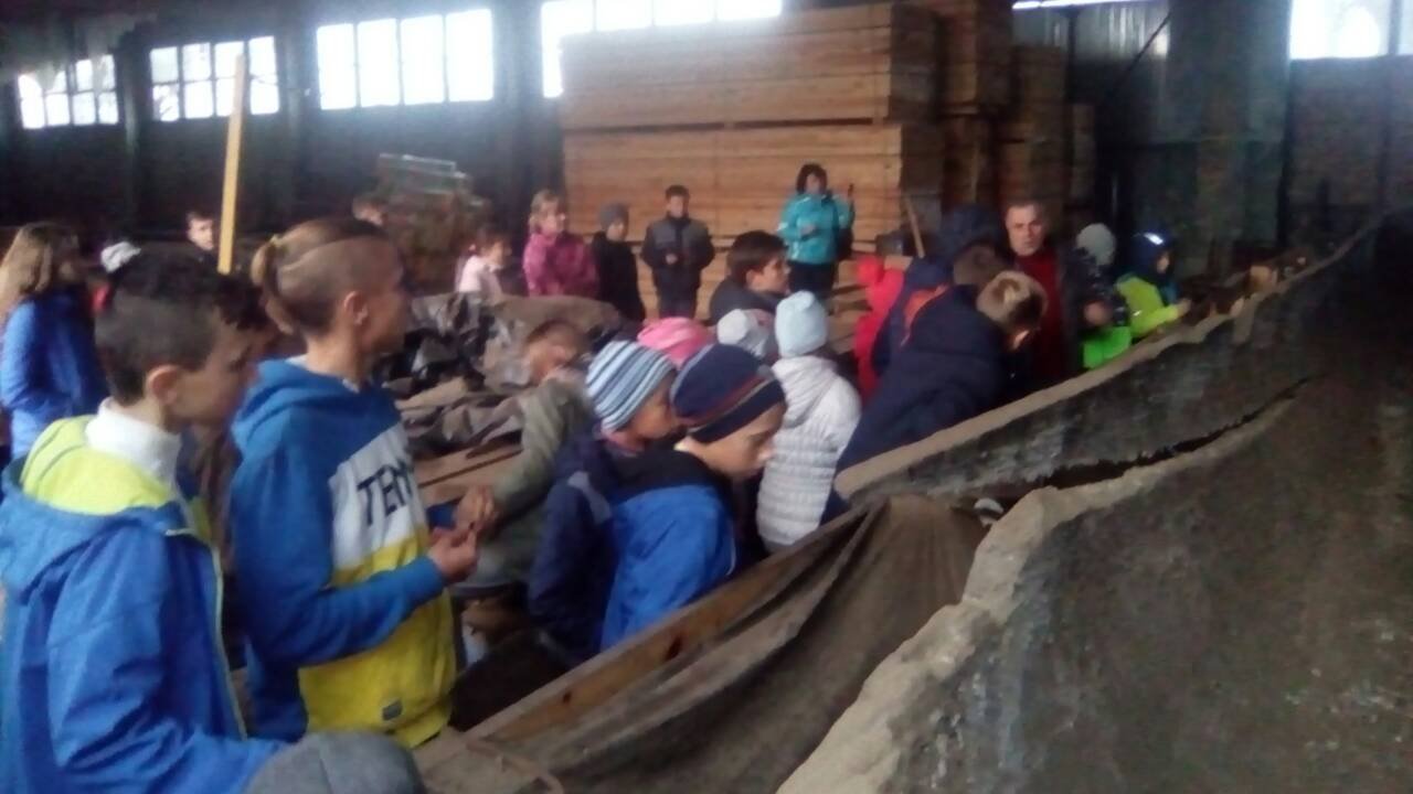 Нові успіхи юних туристів Нові успіхи юних туристів