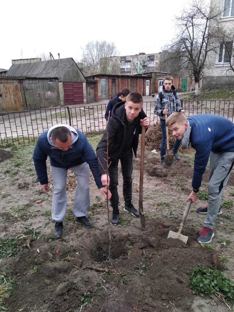 Висадили «дерева миру» Висадили «дерева миру»