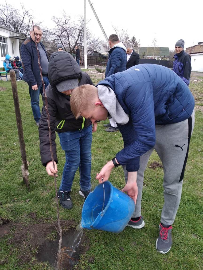 Висадили «дерева миру» Висадили «дерева миру»