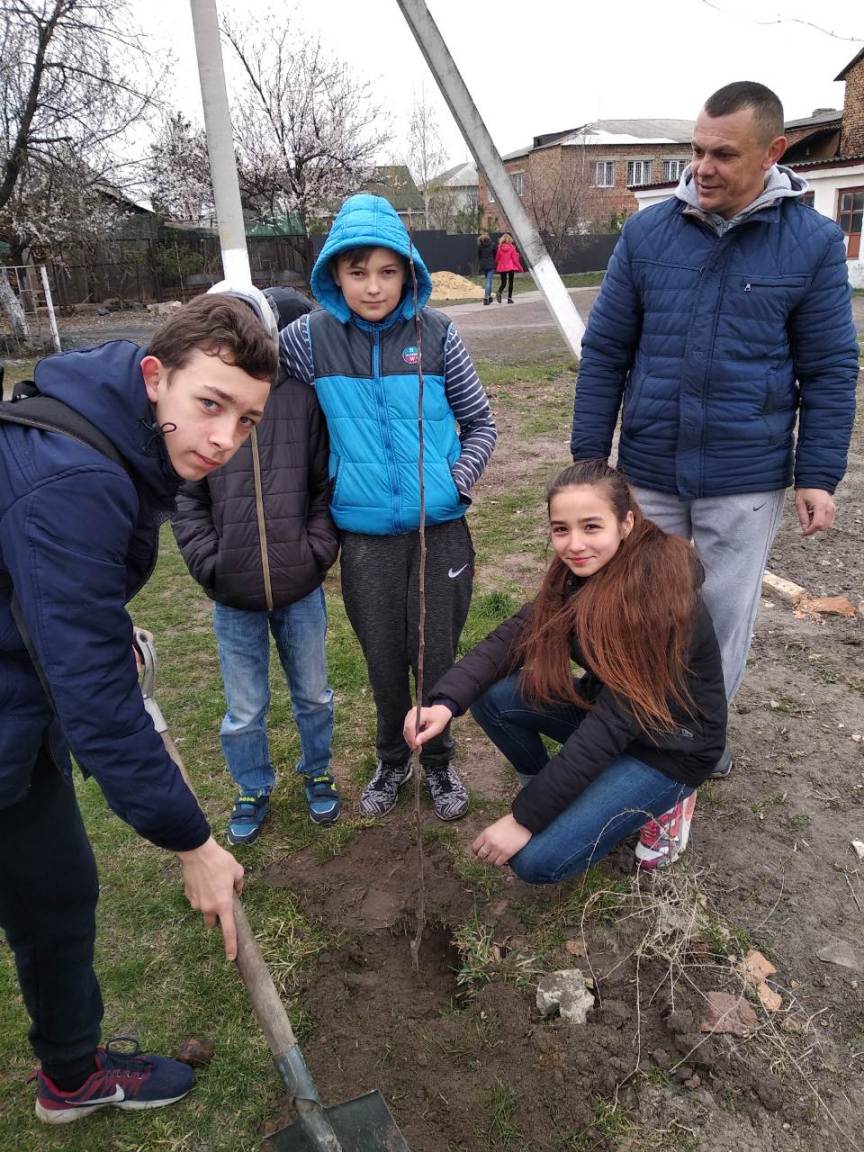 Висадили «дерева миру» Висадили «дерева миру»