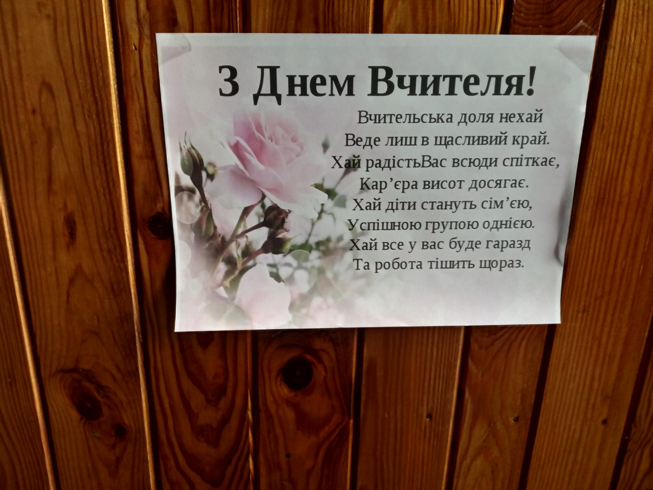 ���� ���������� �����