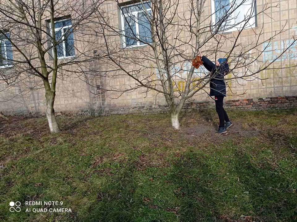 Учні нашого закладу долучились до акції «Нагодуй птахів взимку» Учні нашого закладу долучились до акції «Нагодуй птахів взимку»
