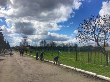 Весняна толока у Любомльському ЗЗСО I-III ст. №2 Весняна толока у Любомльському ЗЗСО I-III ст. №2
