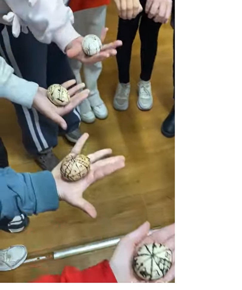 4-� ���� ������� � ������� ��� ������������