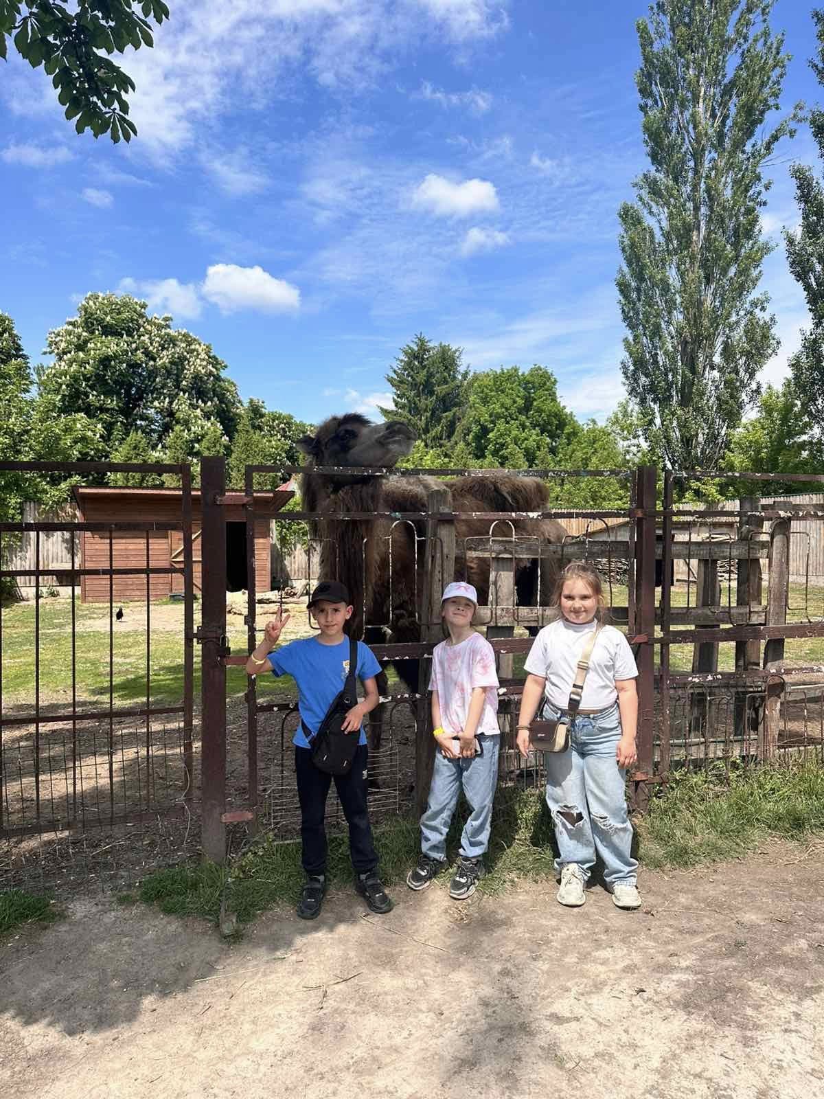 ֳ���� �� ���������� �������� 3-� �����